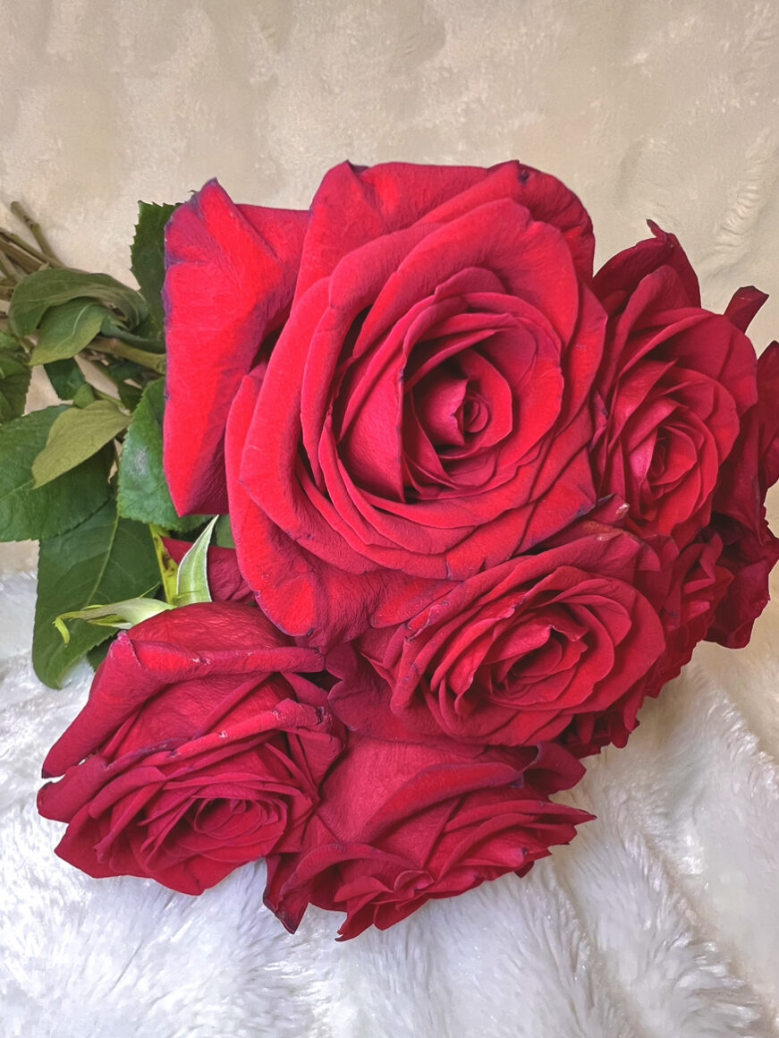 a bouquet of red roses